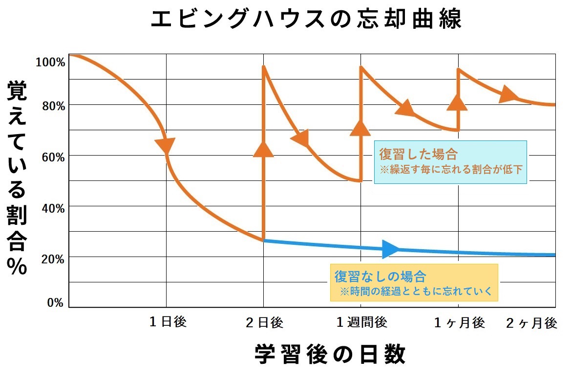 記憶の定着